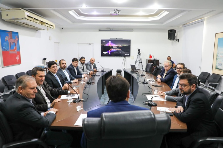 Governador e Grupo Tomazini discutem instalação de agroindústria em Uruçuí.