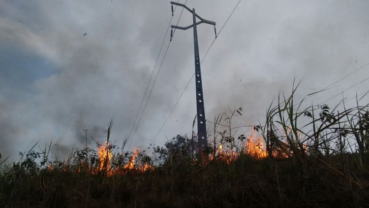 queimadas rede elétrica