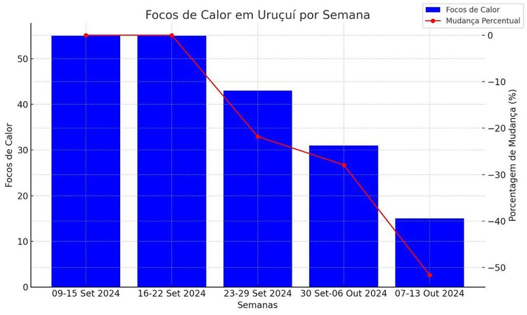 Inteligência Artificial antecipa cenários e faz previsão de onde ocorrerá incêndios no Piauí